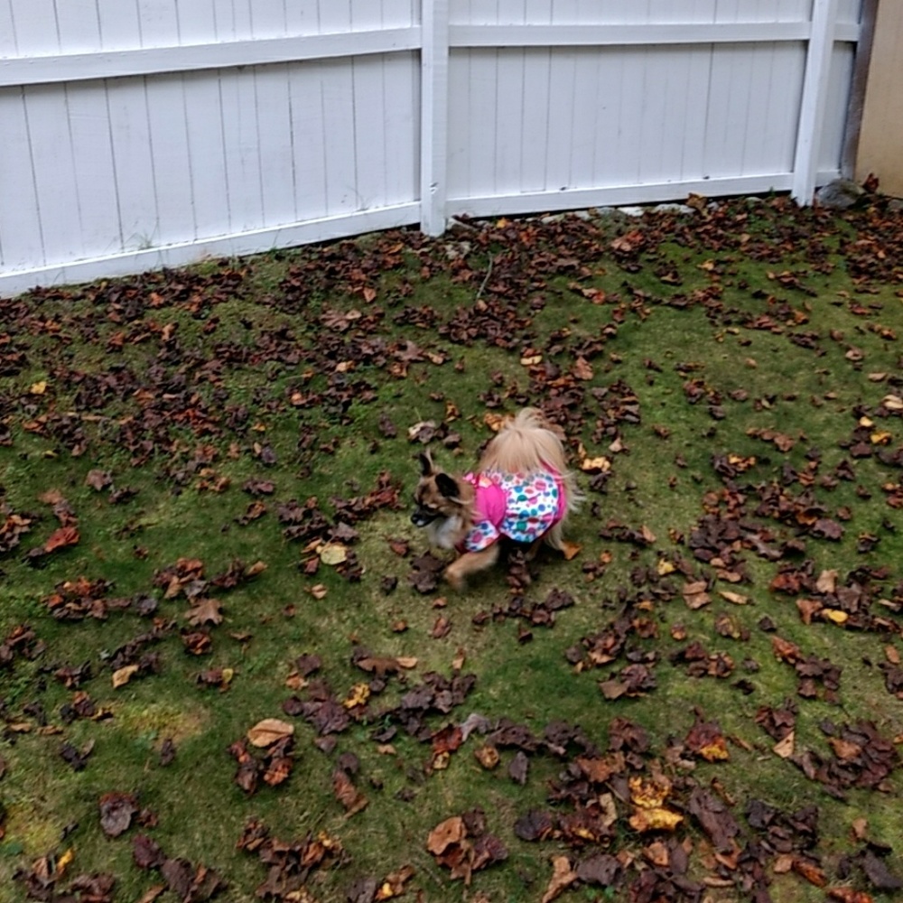 Nothing - Picture 2 of 3